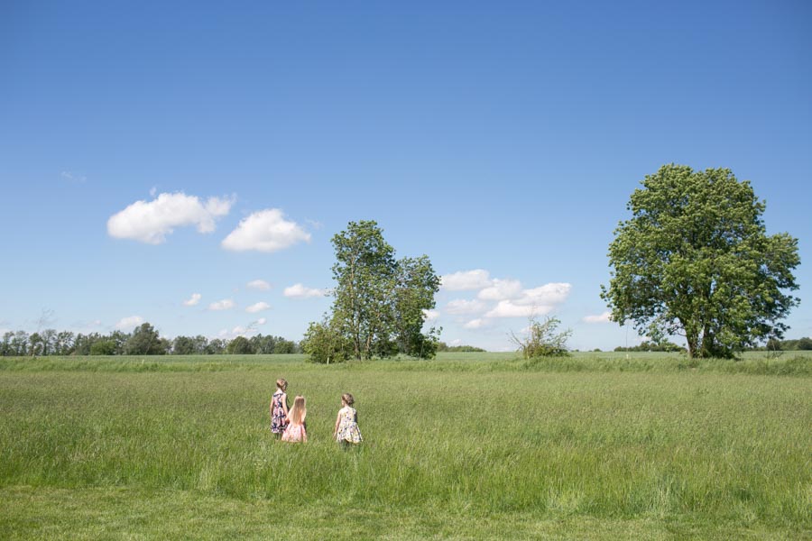 Three children stand in a field at The Reid Rooms. The field is green, with large trees and a never-ending view to the blue horizon. Three children stand in a field at The Reid Rooms. The field is green, with large trees and a never-ending view to the blue horizon.