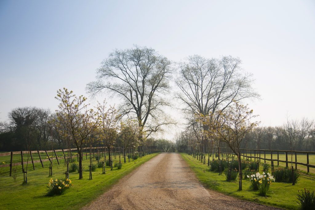 The driveway in springtime at The Reid Rooms.