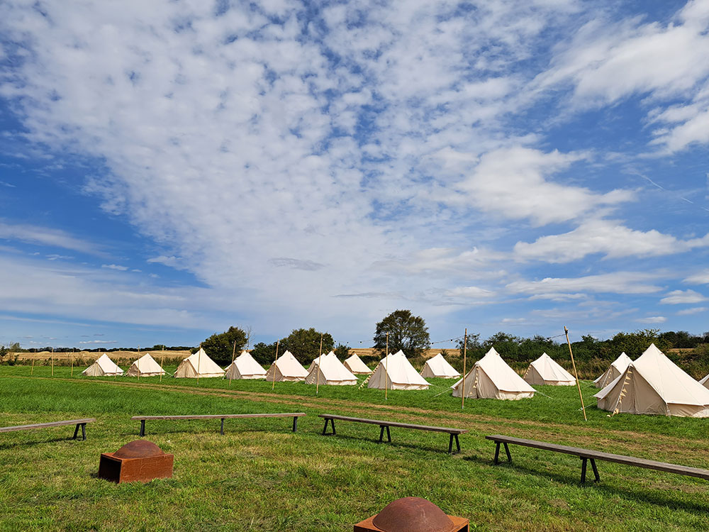 Camping at the Festival site at The Reid Rooms