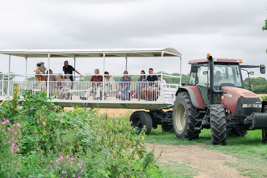 Arriving by tractor at an Outdoor wedding at The Meadow Pavilion. Photo courtesy of Eyebrow Photography